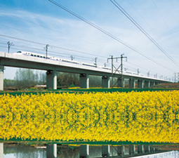 ҵ������